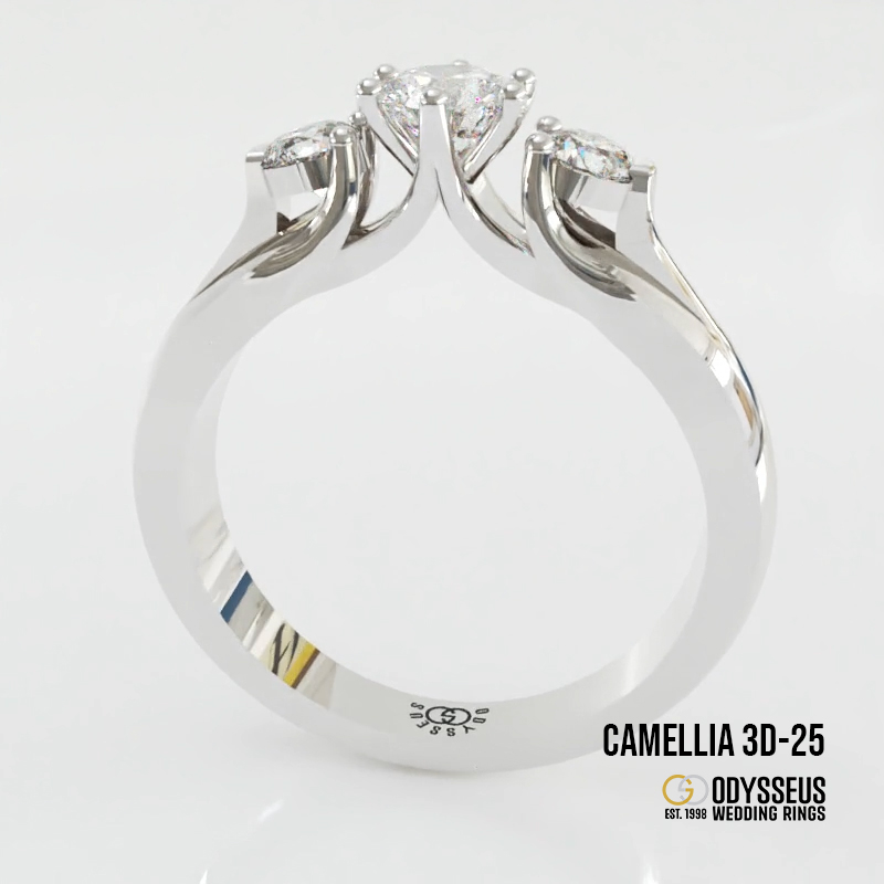 Camellia 3D-25 - Image 2